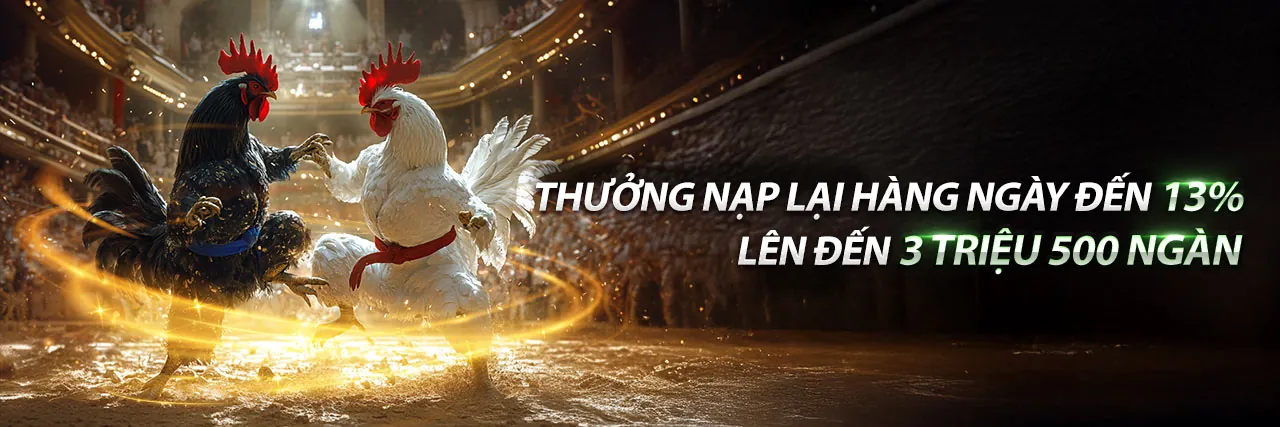 Đá Gà MV888 Trực Tuyến Hấp Dẫn